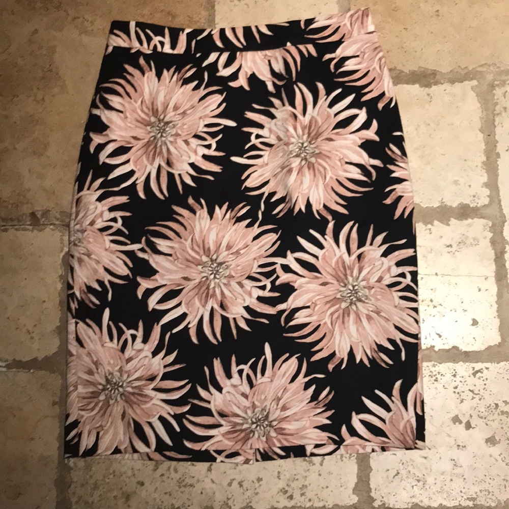 Ann Taylor Pencil Skirt